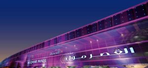 خدمات قصر مول